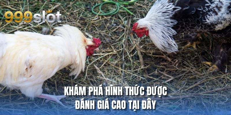 Khám phá hình thức được đánh giá cao tại đây