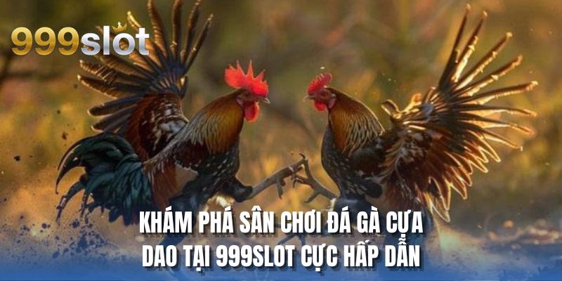 Khám phá sân chơi đá gà cựa dao tại 999SLOT cực hấp dẫn