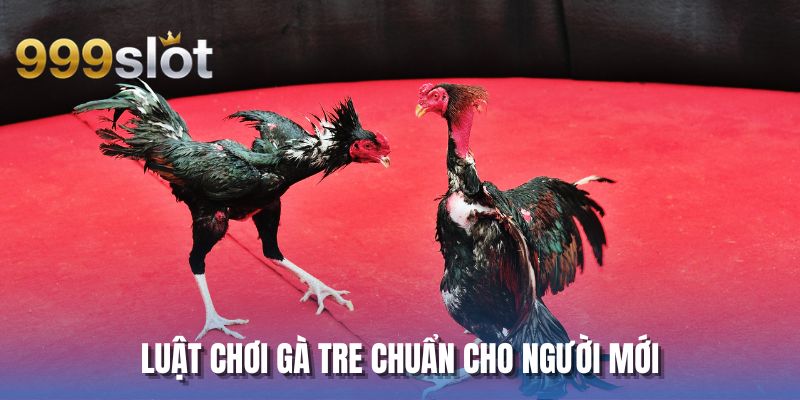 Luật chơi gà tre chuẩn cho người mới